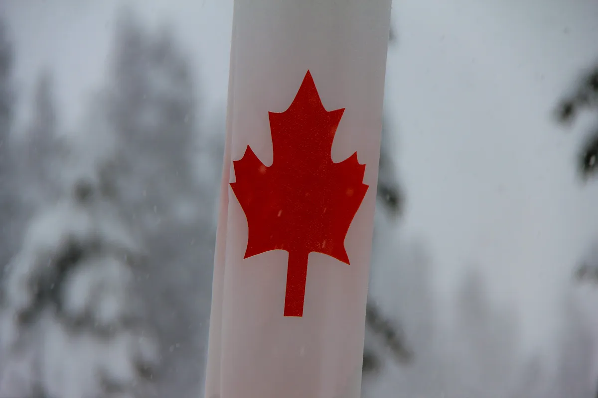 Canada_Maple