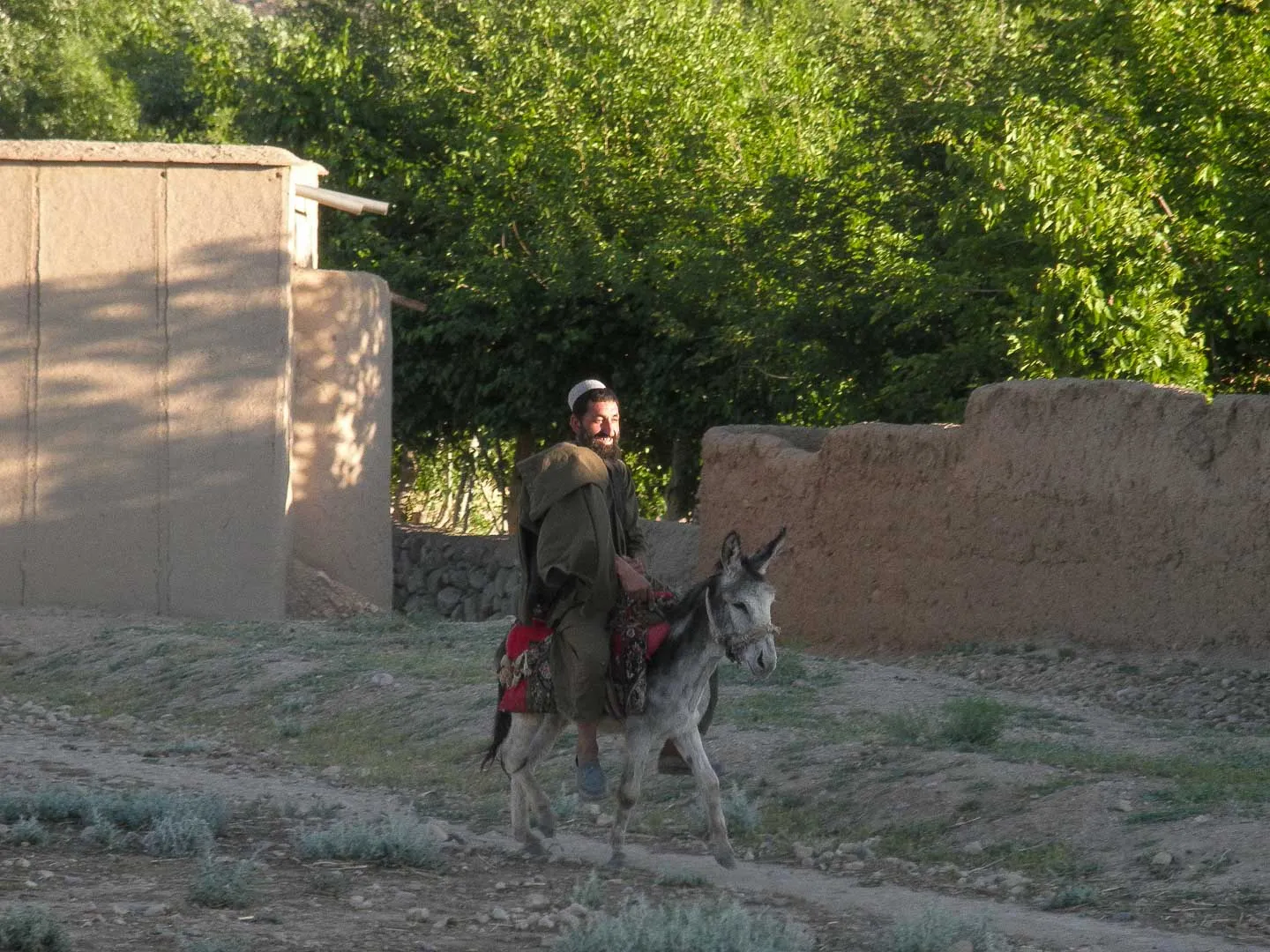 Local Transport