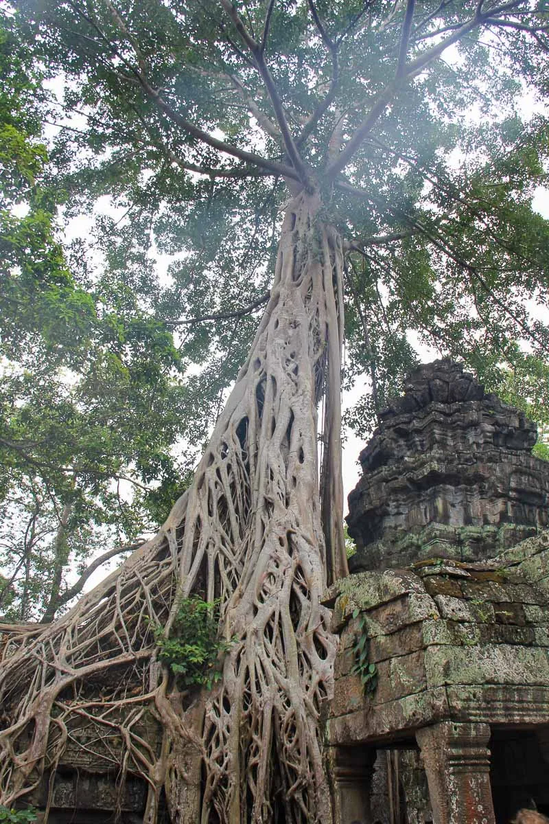 Cambodia · Siem Reap