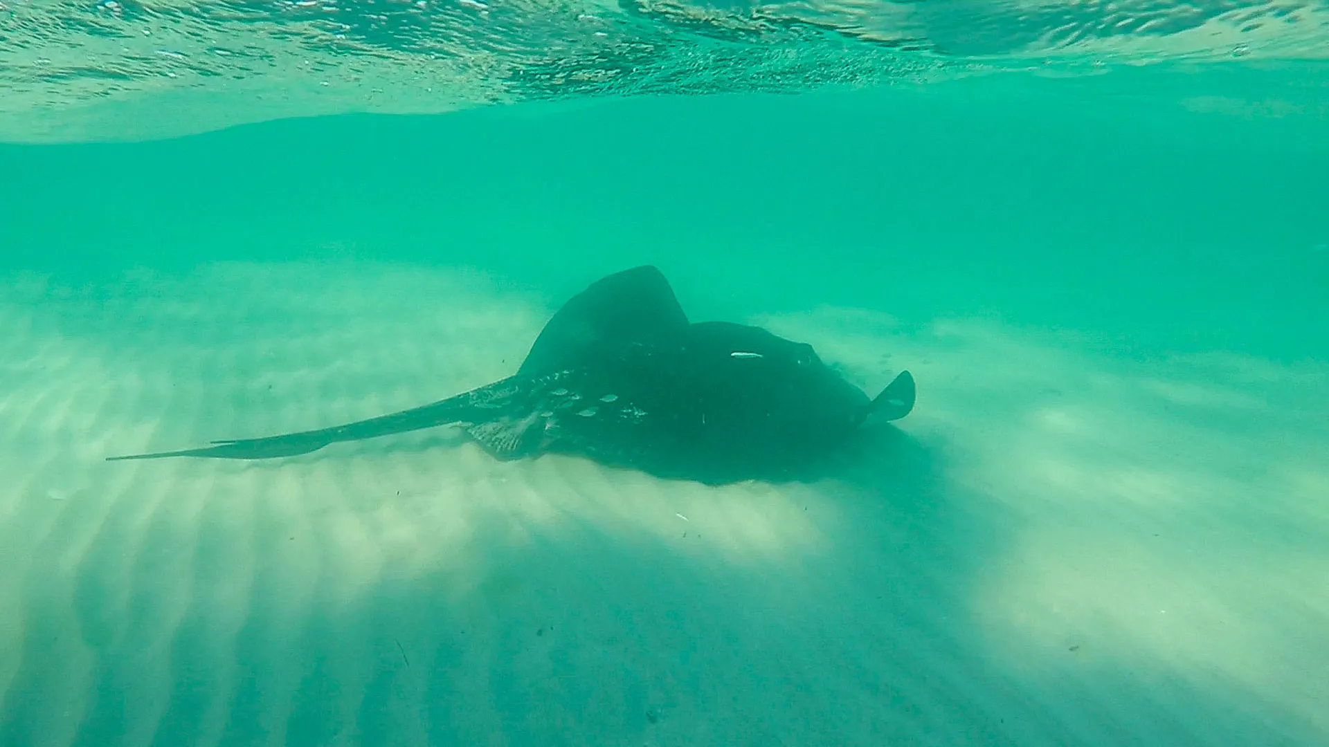 Australia · Jurien Bay