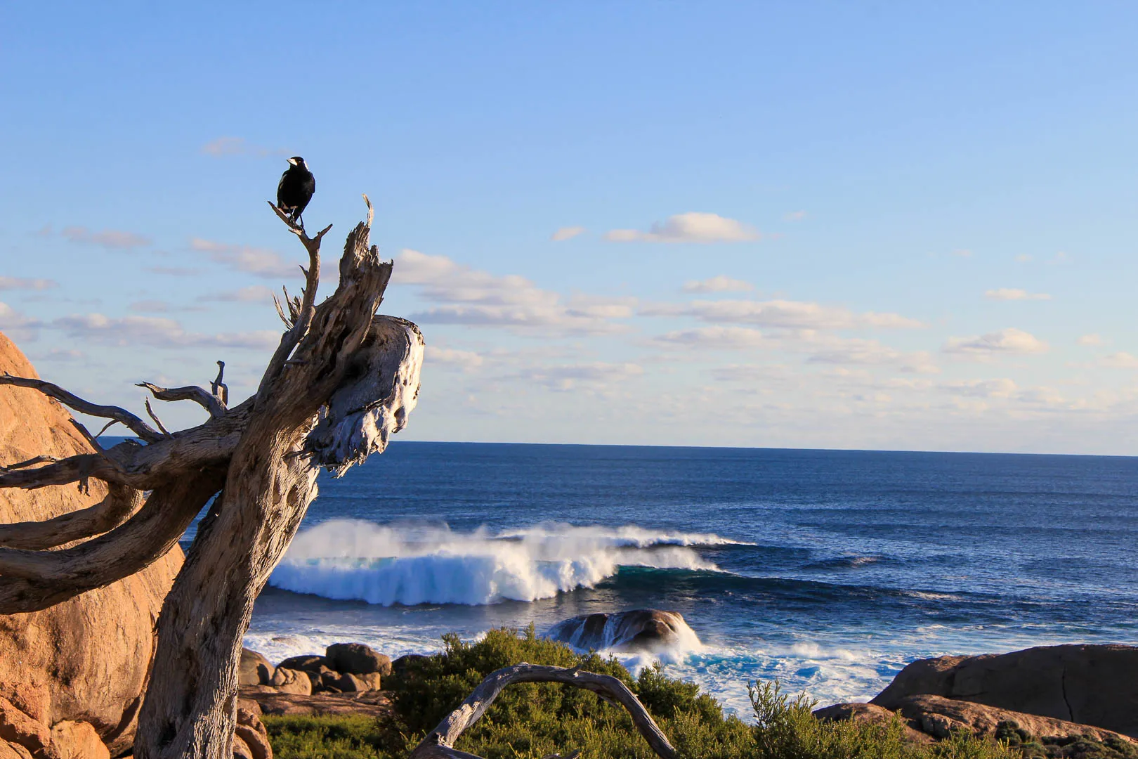 Australia · WA