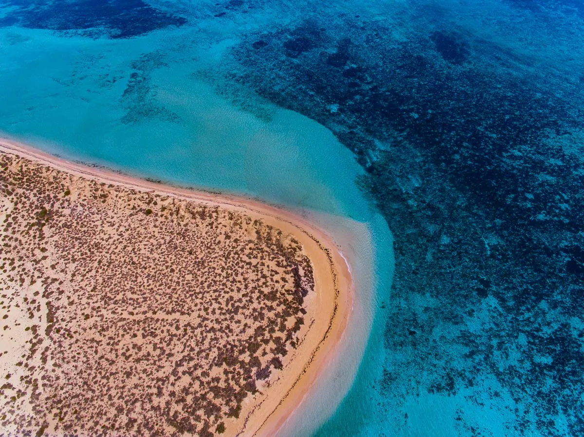 Nigaloo Reef