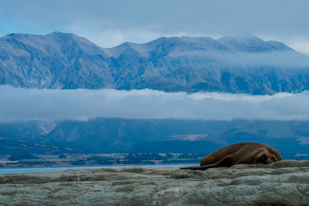 New Zealand · Kiakoura · Sleep time