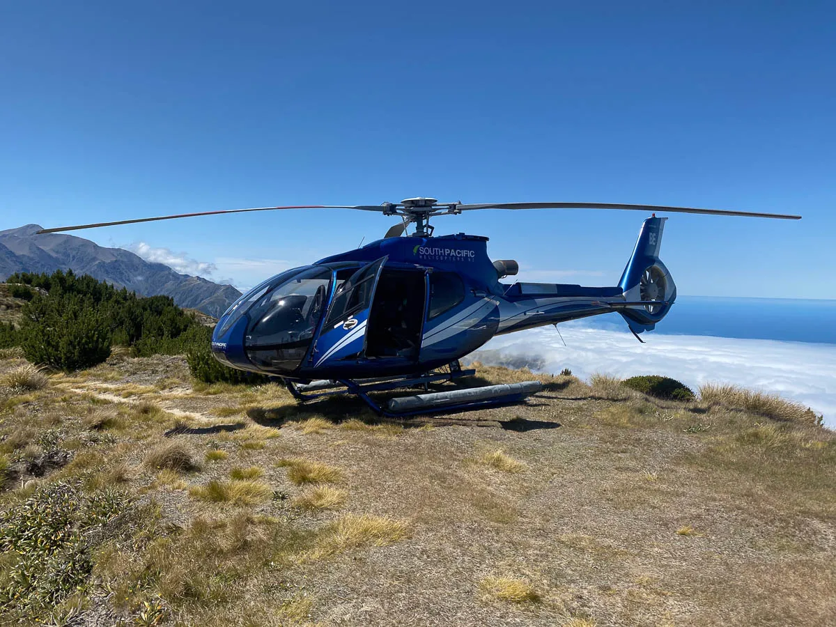 New Zealand · Mt Fyffe