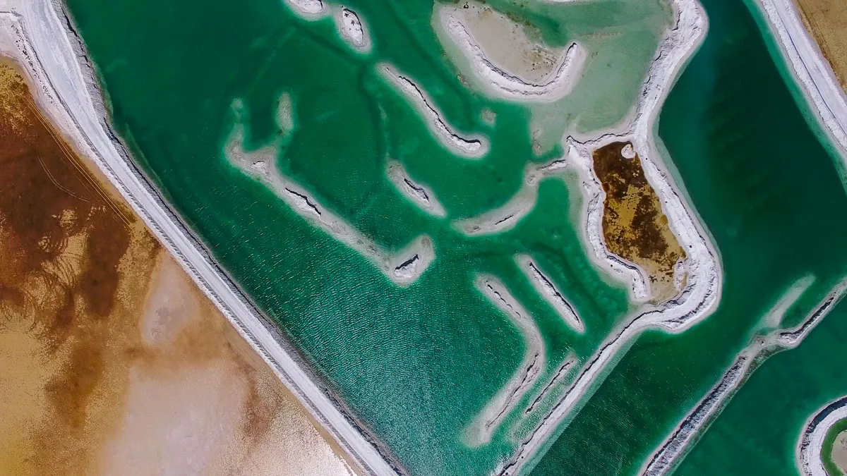 Salt Farm